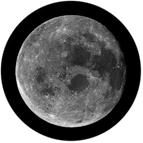 81174