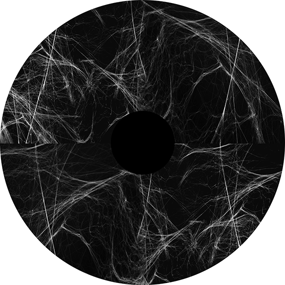 82926 Realistic Whispy Web Rotating 288