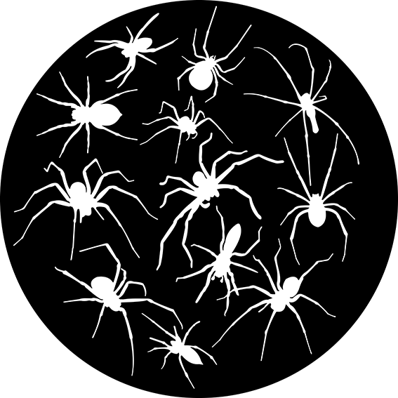 82937 Crawling Spiders 288