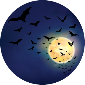 86798 Moonlight Bats-288