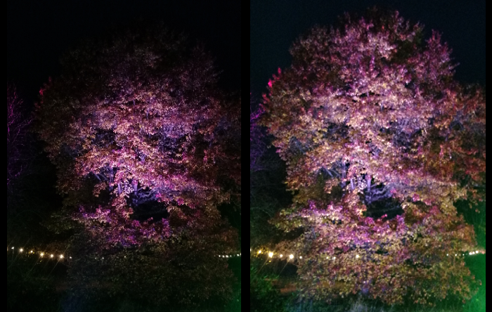 The left photo shows the tree lit without OPTI-SCULPT, with only part of the tree being visible, and the right photo shows an even light distribution on the tree achieved with OPTI-SCULPT. 