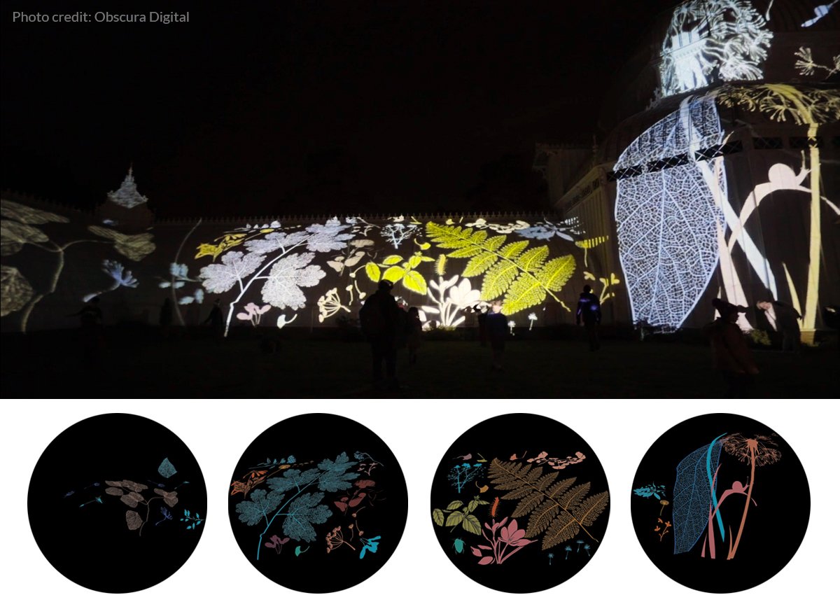 Flower themed projected gobos at The San Francisco Conservatory of Flowers.