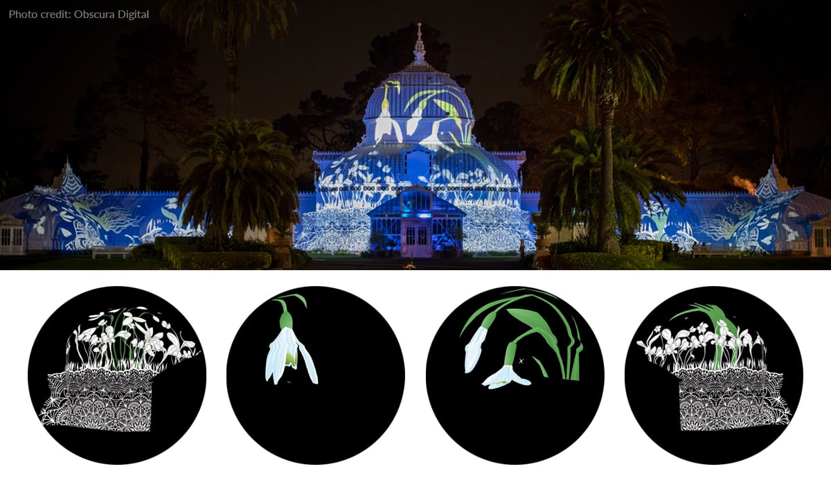 Flower themed gobos projected on The San Francisco Conservatory of Flowers.