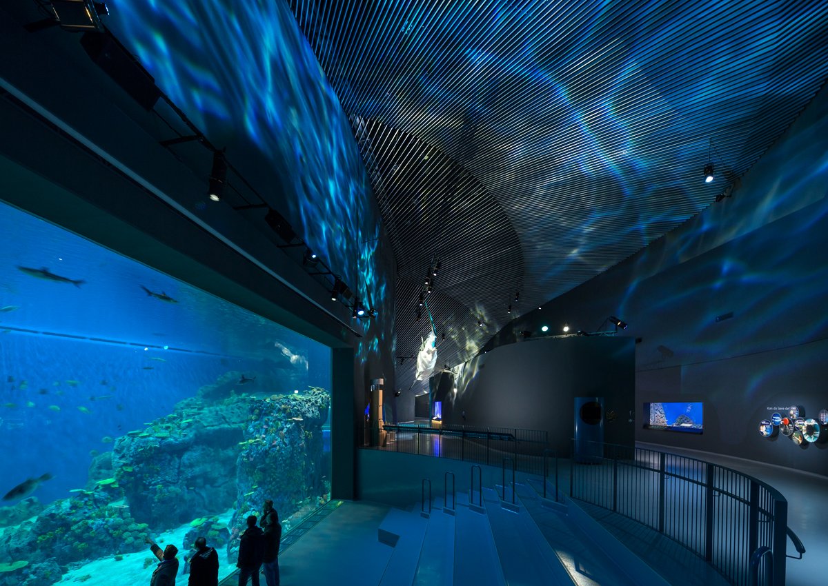 A water effect created by Rosco X-Effects inside the Blue Planet Aquarium.