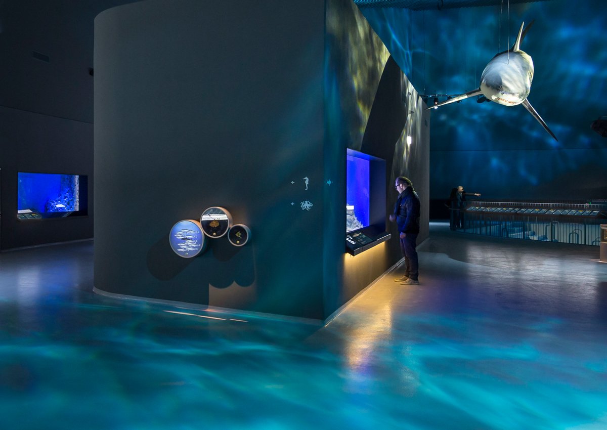 A water effect created by Rosco X-Effects inside the Blue Planet Aquarium.
