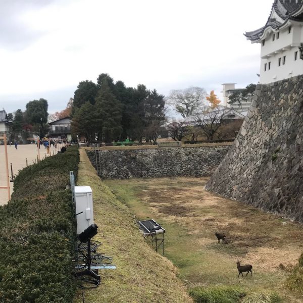 A Rosco Image Spot mounted behind the hedge at Nagoya Castle captures the fusion of ancient tradition and lighting technology.