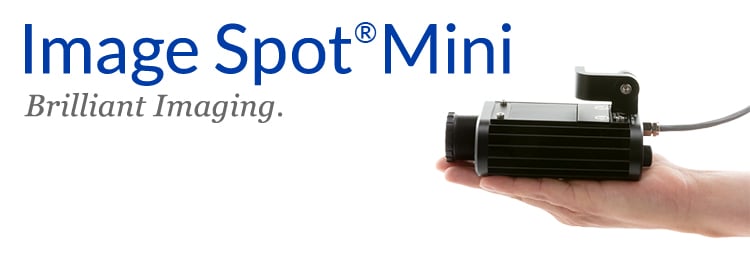 Image Spot Mini on the palm of the hand.