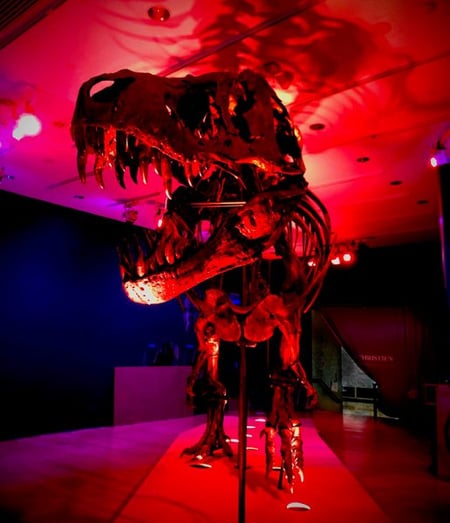 Rosco Braq Cube 4C fixtures illuminate Stan - a large Tyrannosaurus rex skeleton displayed inside Christie’s Auction House before it was auctioned off.