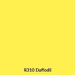 R310 palette