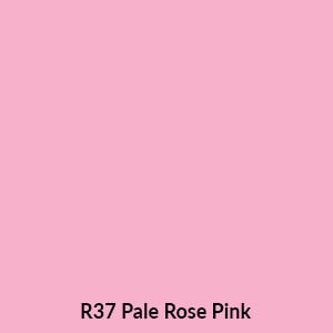 R37 palette copy