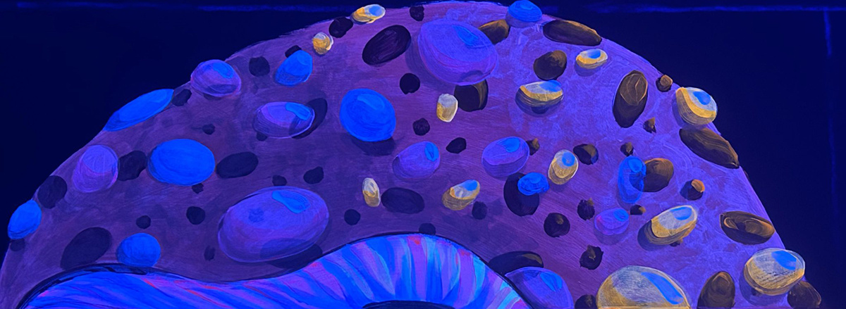 Top section of the mushroom painted with Rosco Fluorescent Paint and lit with UV light.