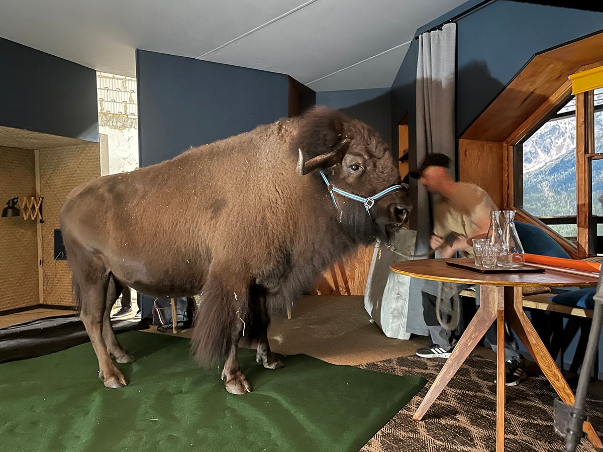 Carag’s boarding room set featuring a real bison and a Rosco SoftDrop outside the window.