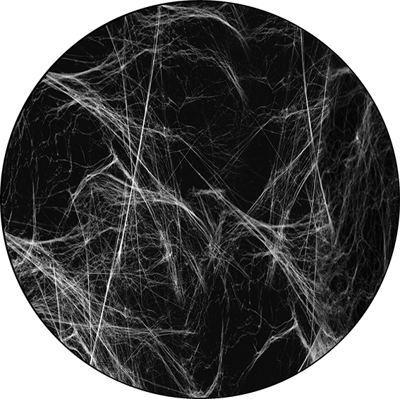 82925 Realistic Whispy Web 1_288