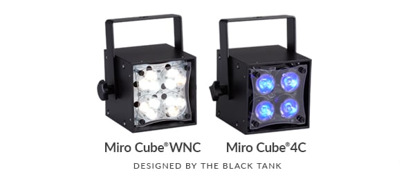Miro Cube WNC LED fixture and Miiro Cube 4C LED fixture.